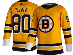 Youth Boston Bruins Daniel Vladar Adidas Breakaway 2020/21 Special Edition Jersey - Gold