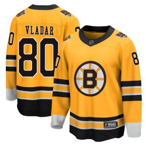 Men's Boston Bruins Daniel Vladar Fanatics Branded Breakaway 2020/21 Special Edition Jersey - Gold